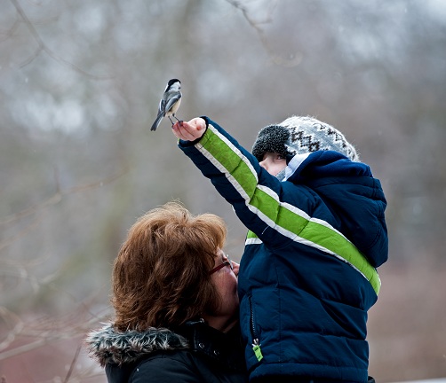 chickadee on child's finger