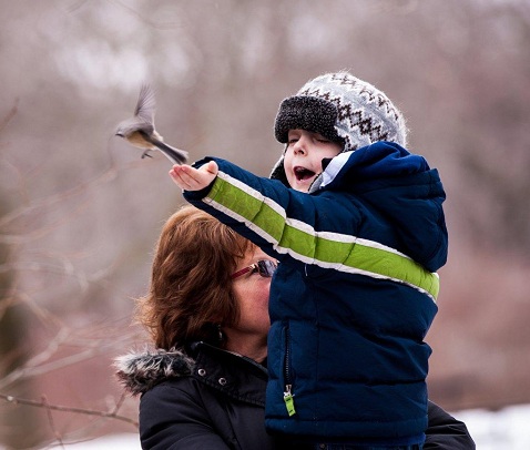 chickadee on child's finger flys away