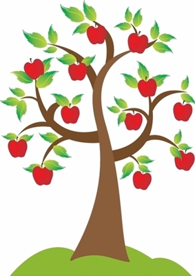 apple tree