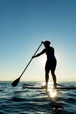 paddleboard