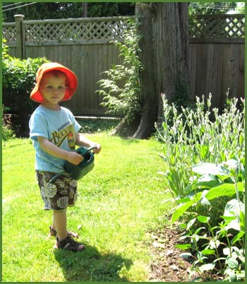 William (Charlotte's grandson) waters Nana's flowers