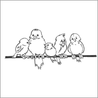 Five Little Sparrows