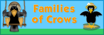 Family of Crows