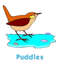 Puddles