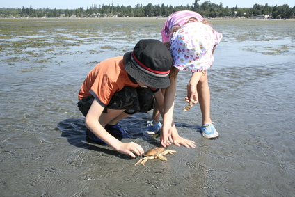 Children exploring on the beach [Image © TreePhoto - Fotolia.com]