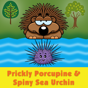 Prickly Porcupine & Spiny Sea Urchin