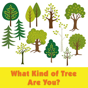 What Kind of Tree Are You?