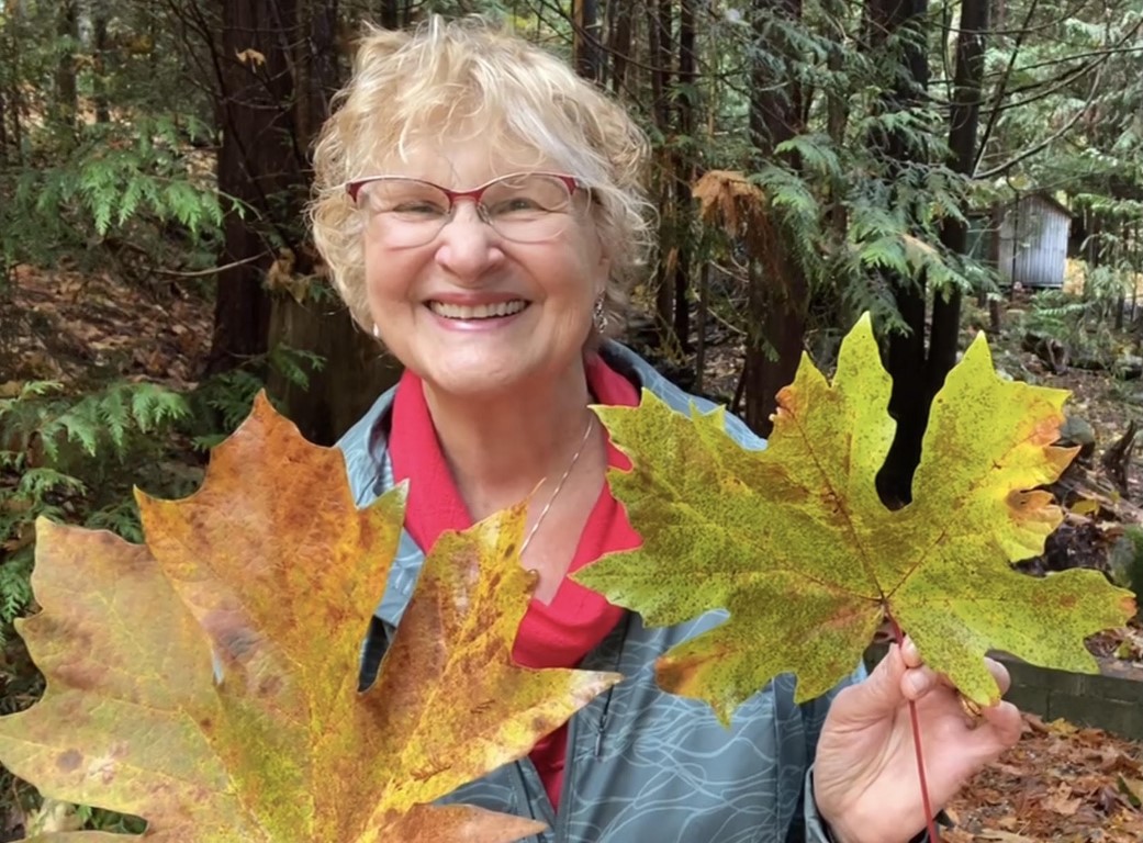 Charlotte Diamond Holding Two Large Maple Leaves - Fall 2023